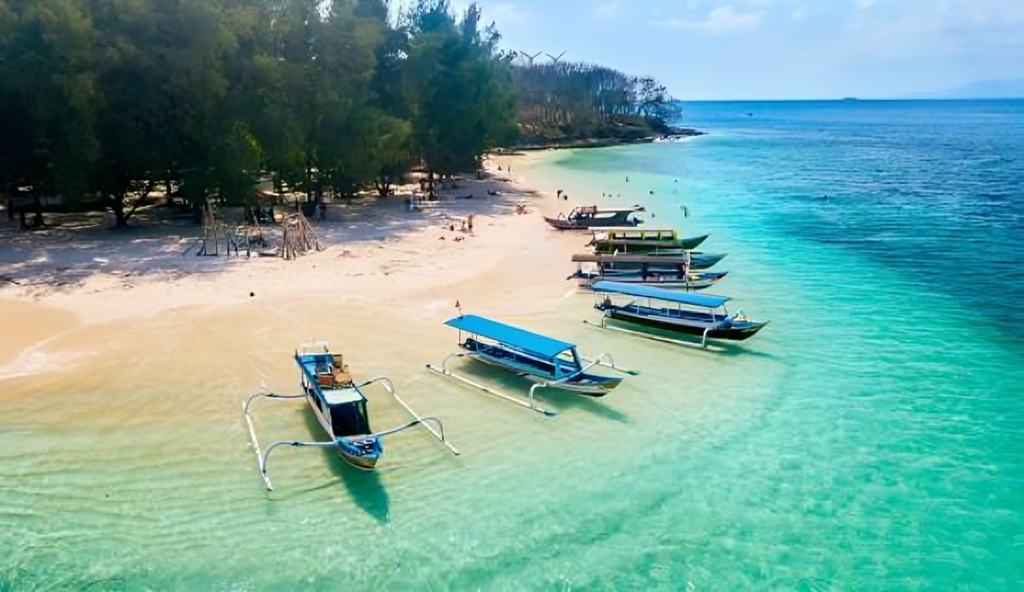 gili rengit